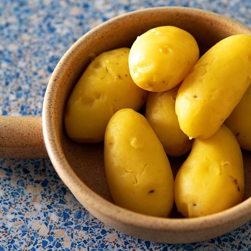 بطاطس